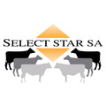 Select_Star_Logo