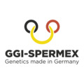 ggi-logo